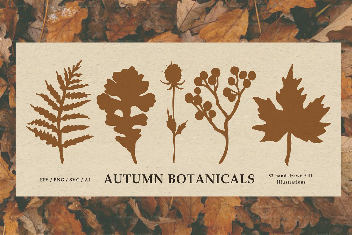 Autumn Botanicals Clipart, a Seasonal Illustration by RaDavCrafts (Photo 1 of 12)
