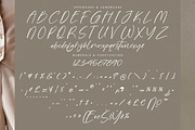 Goldbrush Delights, a Handwritten Font by Integritype Studio (Thumbnail 13 of 15)