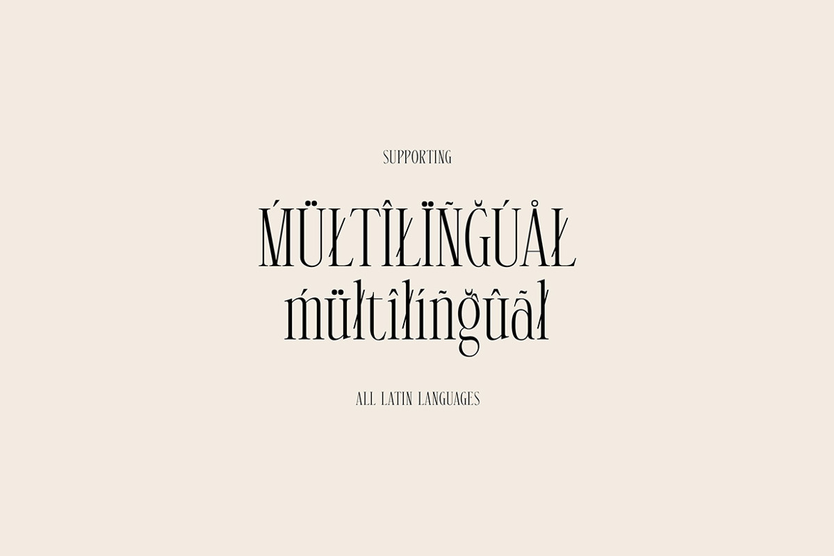 Alison Maskell Modern Serif, a Serif Font by Cruzine (Photo 8 of 8)