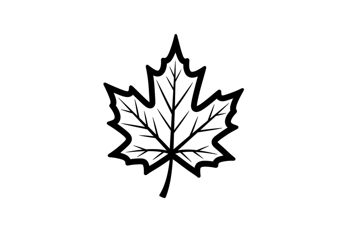 Maple Leaf Silhouette Bundle, a Graphic by musafir_fashion (Photo 6 of 10)