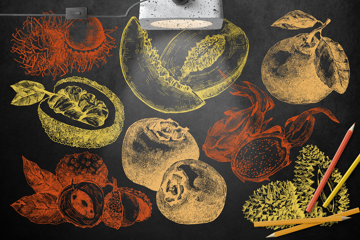 Delicious fruit collection, a Decorative Illustration by CARROTDESIGN (Photo 4 of 5)