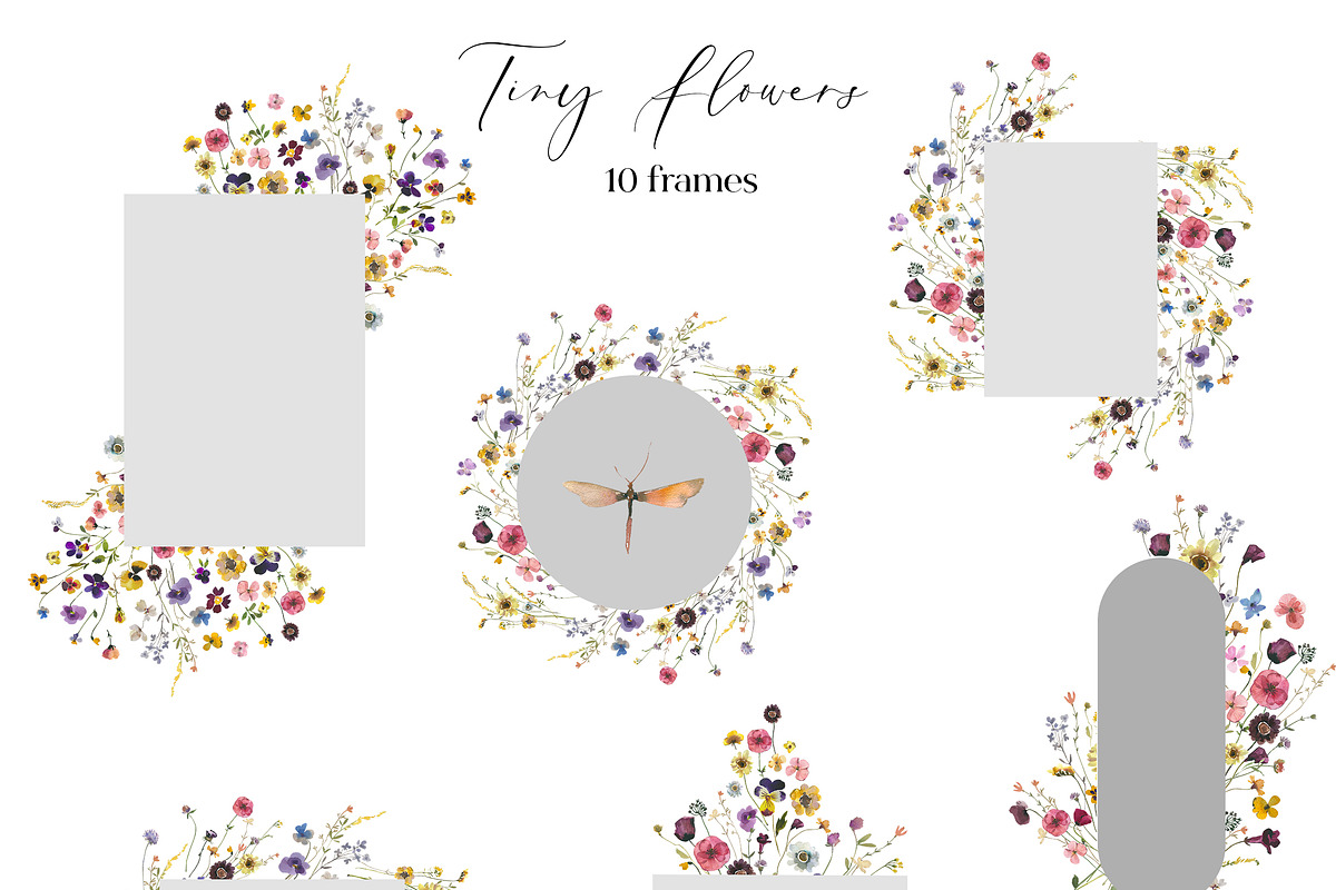 Tiny Flowers Pressed Floral Clipart, an Illustration by whiteheartdesign (Photo 5 of 17)
