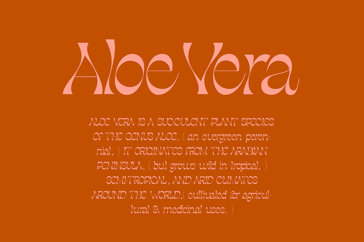 Sunshower Dreams - Exotic Font, a Script Font by Tropical Type (Photo 4 of 13)