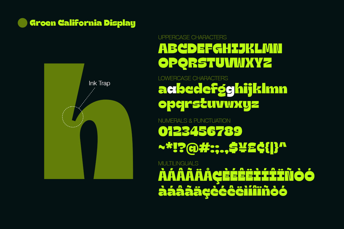 Groen California | Font Duo, a Sans Serif Font by Fargun Studio (Photo 6 of 16)