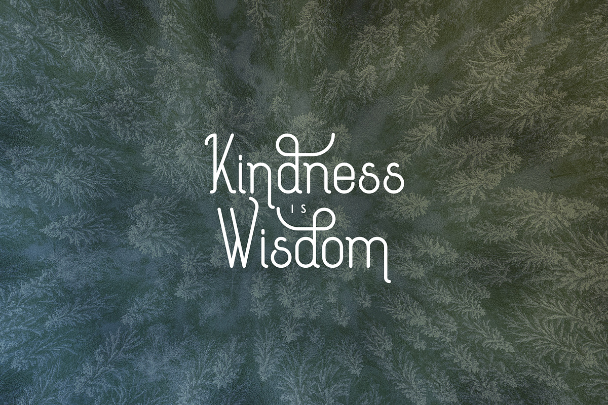 [Spring Vibes] Splendor Font -30%, a Font by VP Fonts (Photo 2 of 12)
