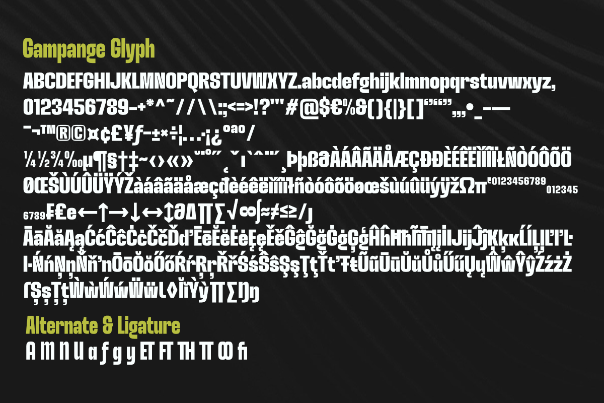 Gampange - Modern Sans Family, a Sans Serif Font by Differentialtype (Photo 11 of 11)