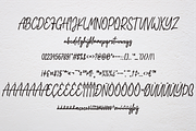 Addison Brother, a Script Font by NJ Studio (Thumbnail 10 of 12)