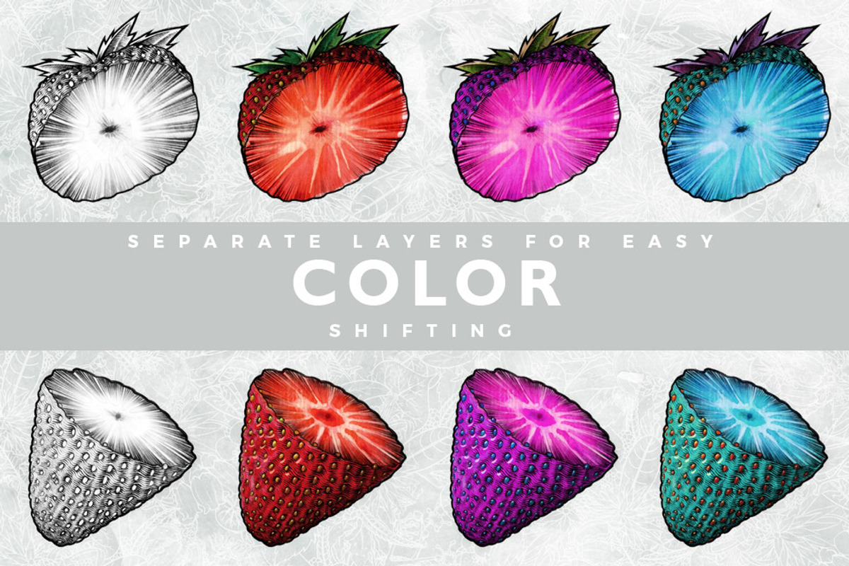 Fruits and Flowers Pack, an Illustration by Rafael (Photo 6 of 6)