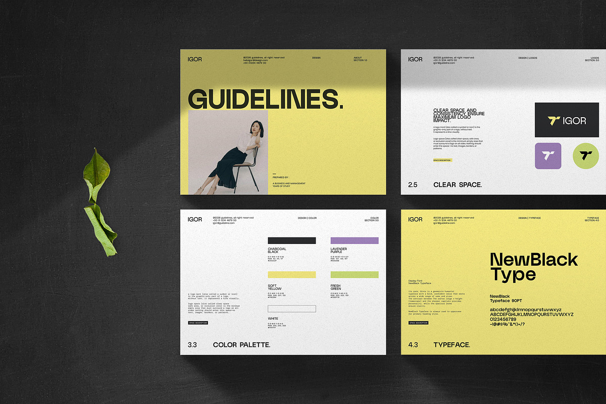 iGOR | Brand Guidelines, a Branding & Logo Template by creathrivestudio (Photo 4 of 11)