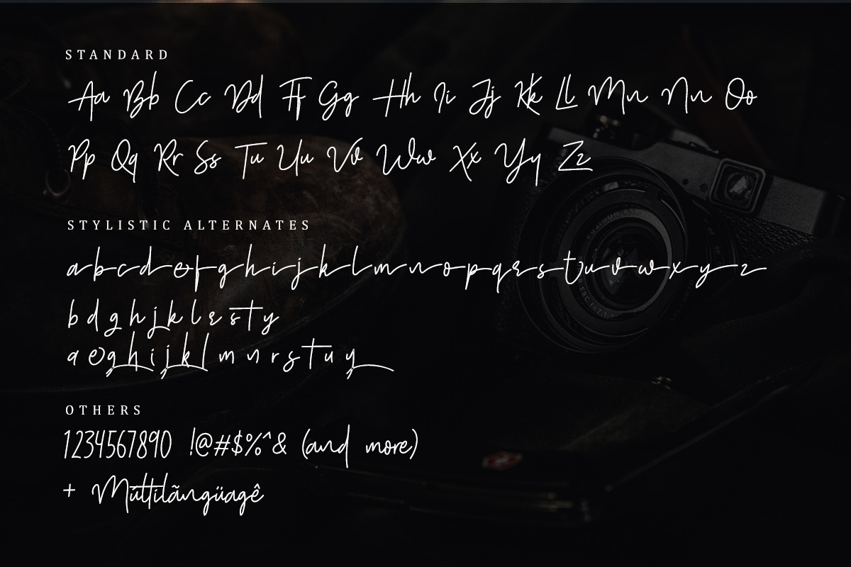 Shutter Stone - Signature Script, a Script Font by Sarid Ezra (Photo 9 of 9)