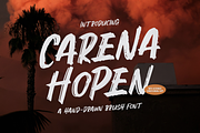 Carena Hopen | Hand Drawn Brush Font, a Handwritten Font by gracetype_studio (Thumbnail 1 of 12)