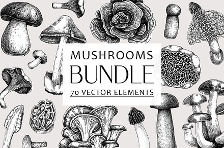 BUNDLE - Mushrooms Premium Vectors, a Food Illustration by Yevheniia