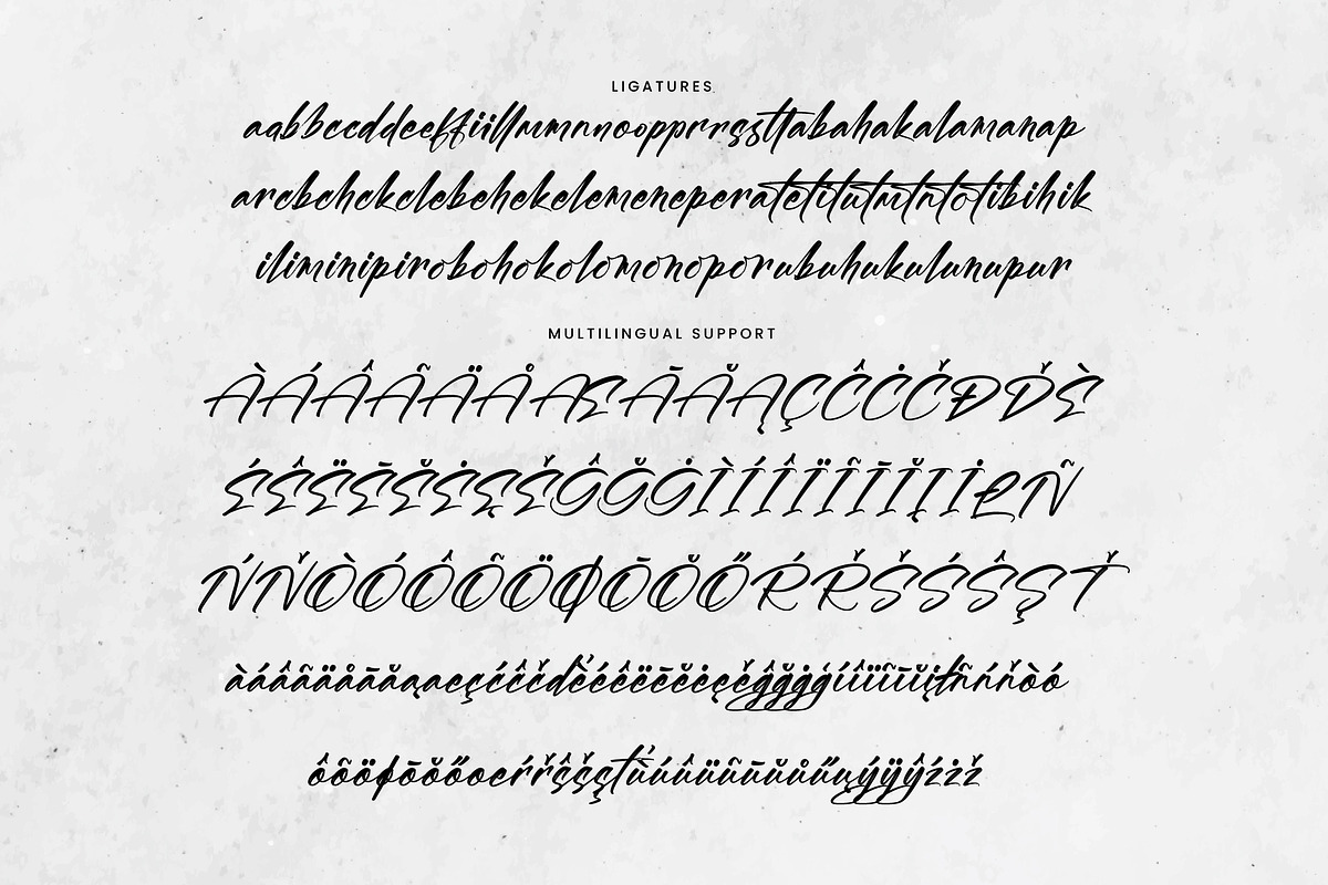 Blytthes, a Font by operatype.co (Photo 14 of 15)