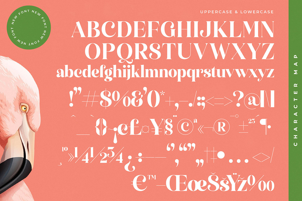 Manile Vintage Modern Bold Serif, a Serif Font by timelesstype.co (Photo 18 of 20)