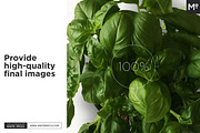 Italian Restaurant Identity Mock-up, a Books & Magazine Mockup by Mocca Mockups Store (Thumbnail 10 of 10)