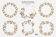 Edelweiss Watercolor Collections, an Illustration by Soir Creative (Thumbnail 3 of 5)