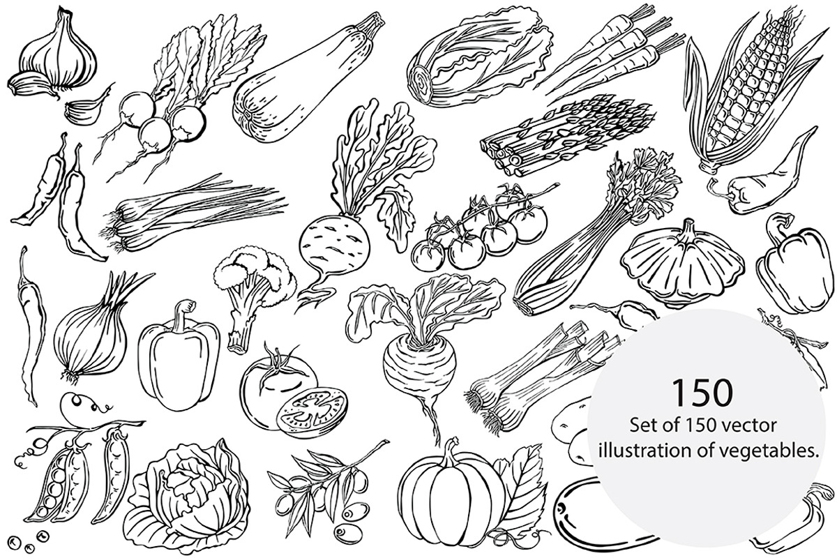 Vector vegetables, an Illustration by risovanya (Photo 2 of 4)