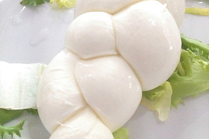 Fresh braided mozzarella cheese with salad on white plate, a Food & Drink Photo by Antonio Gravante Market