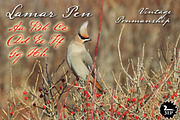 Lamar Pen, a Script Font by Three Islands Press (Thumbnail 1 of 5)