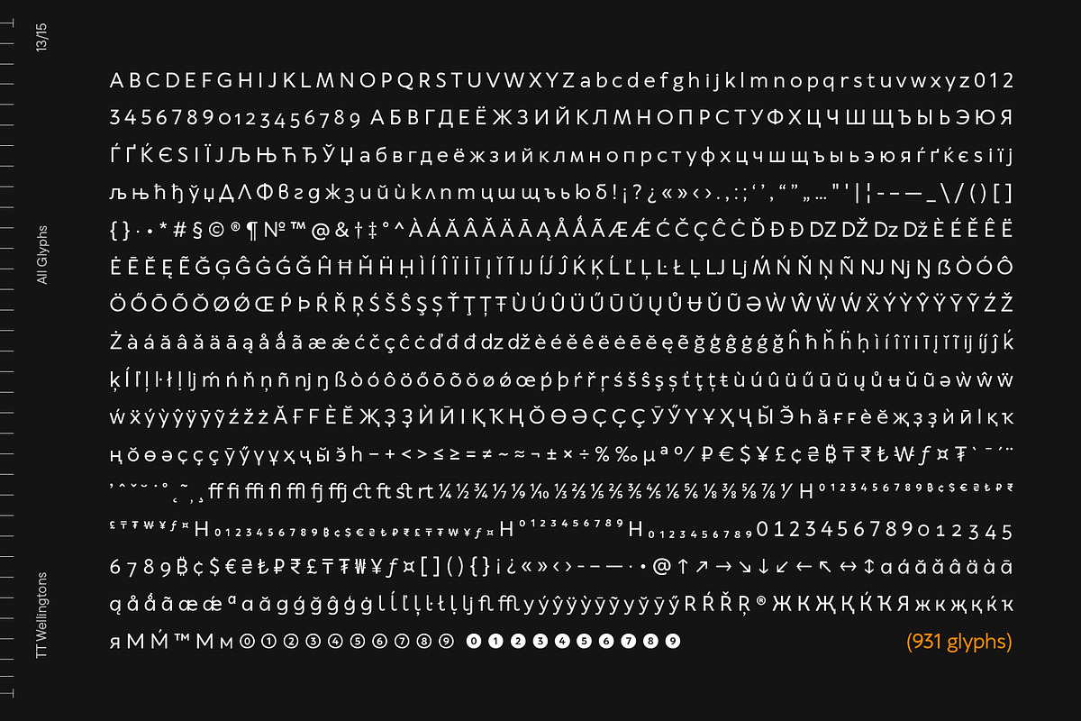 TT Wellingtons, a Sans Serif Font by TypeType (Photo 13 of 15)