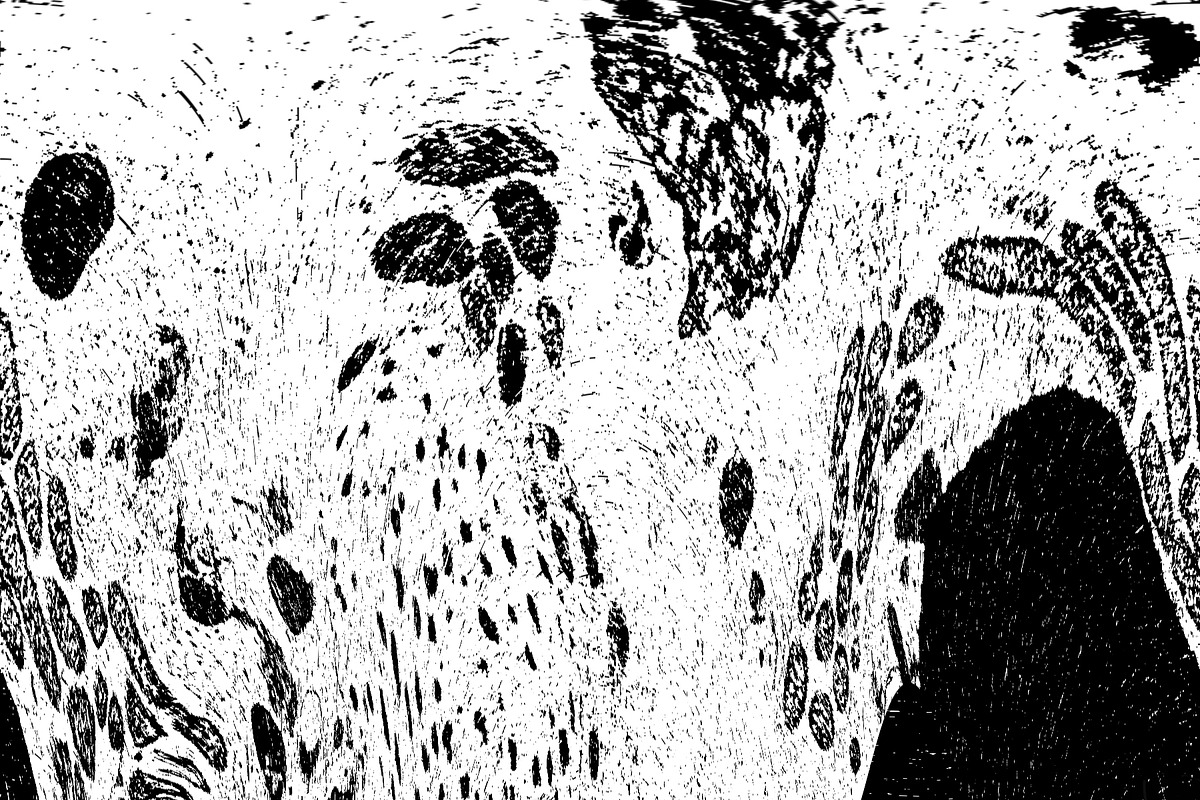 Lilliputian, a Texture Graphic by Jennifer Lauren Creative (Photo 24 of 28)
