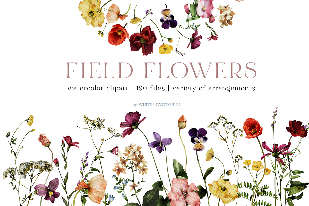 Field Flowers Watercolour Clipart, a Decorative Illustration by whiteheartdesign (Photo 1 of 20)