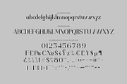 Vamoria- Serif Typeface Font, a Serif Font by Rishsketch (Thumbnail 13 of 15)