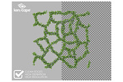 94 Assorted Plants Photo Overlays, a Nature Photo by KenScape (Thumbnail 2 of 4)