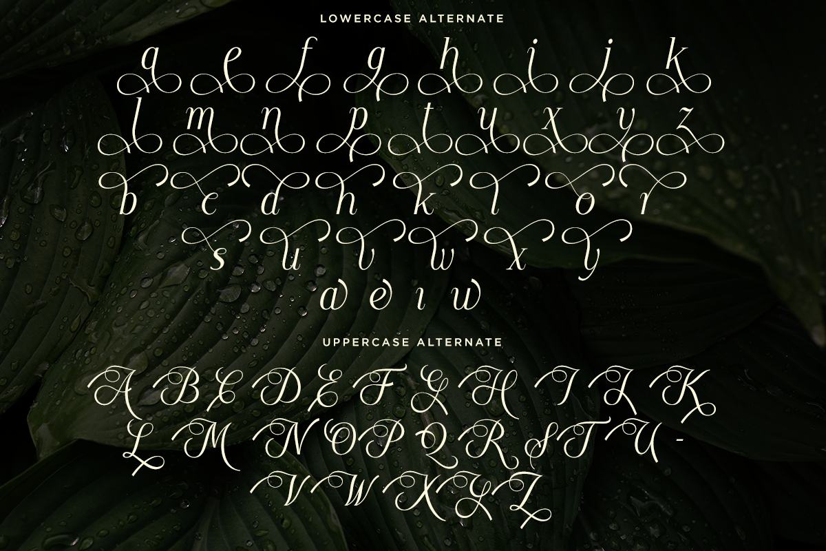 Luxury Wedding Serif Font - Moelania, a Serif Font by Say Studio (Photo 10 of 10)