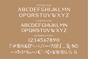 Waldecry A Modern Serif Font, a Serif Font by Storytype Studio (Thumbnail 13 of 15)