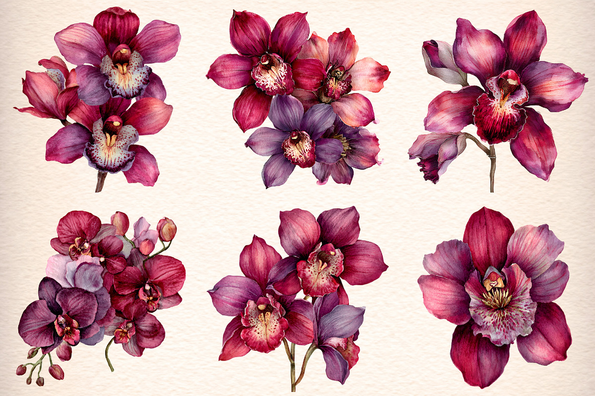 Watercolor Burgundy Orchids Clipart, an Illustration by Digital Artistic99 (Photo 3 of 9)