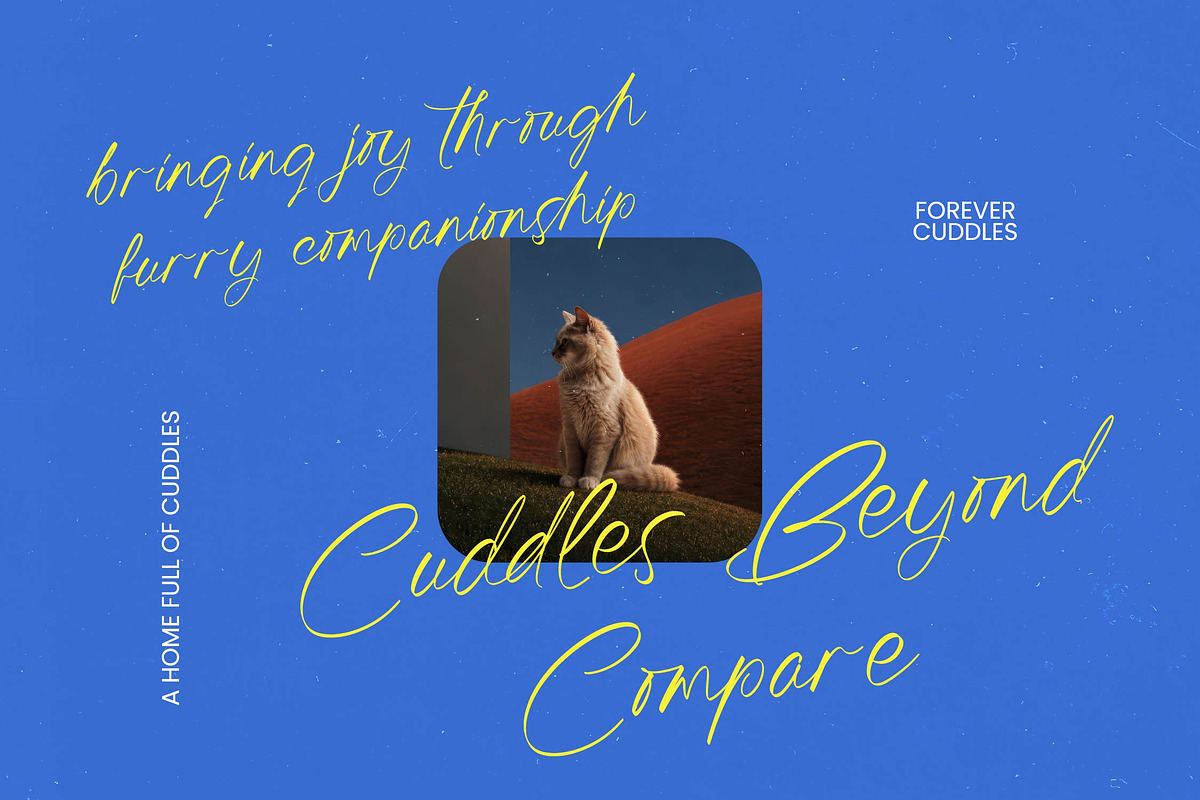 Tomyhesa Modern Handwritten, a Script Font by Letterena Studios Script (Photo 4 of 10)