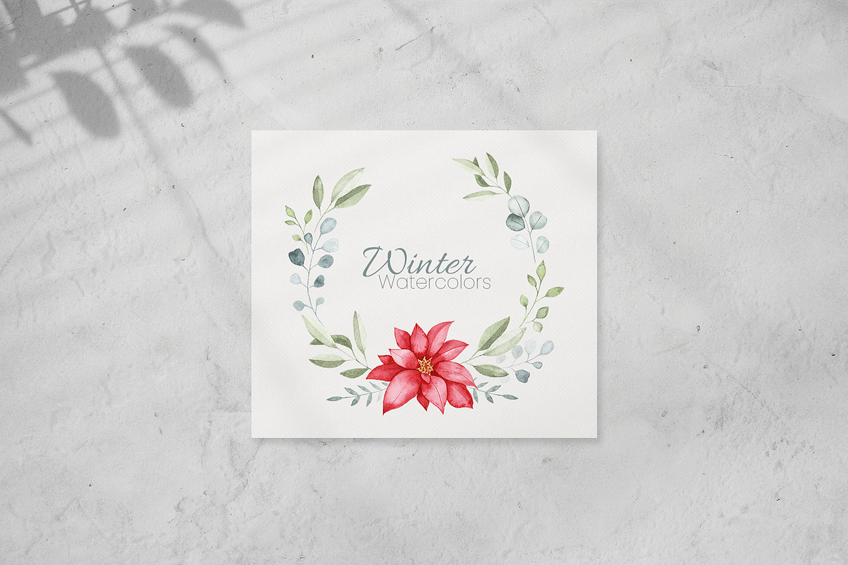 Winter Botanical Watercolor Set, a Decorative Illustration by Liliia Polos Illustration (Photo 2 of 10)