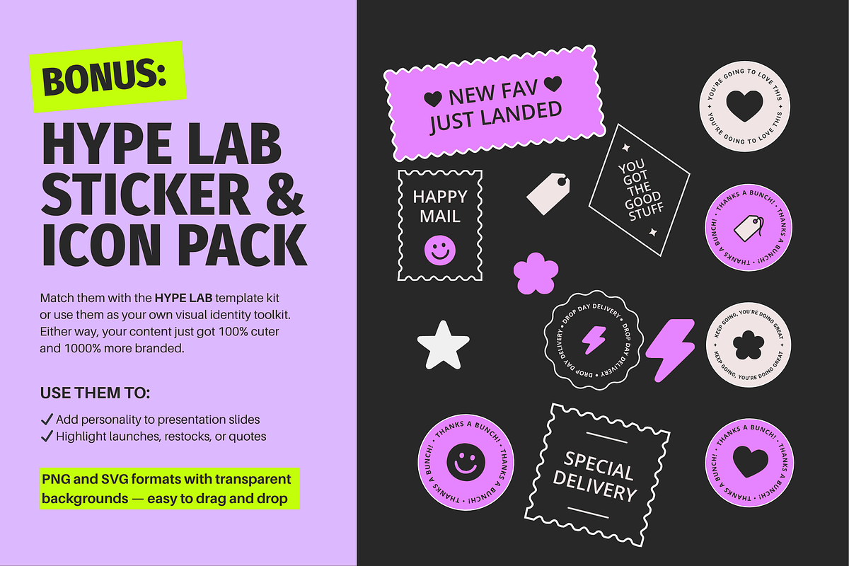 Hype Lab Project Proposal Deck preview 8