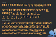 Vitoria Bold Tall Serif Display Font, a Serif Font by timelesstype.co (Thumbnail 19 of 20)