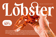 Rodagile Modern Display Serif, a Serif Font by timelesstype.co (Thumbnail 9 of 20)