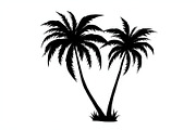 Summer Beach Palm Bundle, an Illustration by jahid234 (Thumbnail 10 of 21)