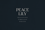 Lucentra – Refined Serif Font, a Serif Font by Only Fonts (Thumbnail 8 of 11)
