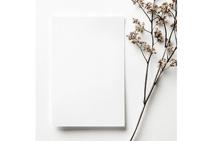 Simple composition of a blank sheet, a Wallpaper Photo by Beautiful things