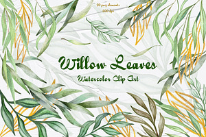 Watercolor Willow Clipart