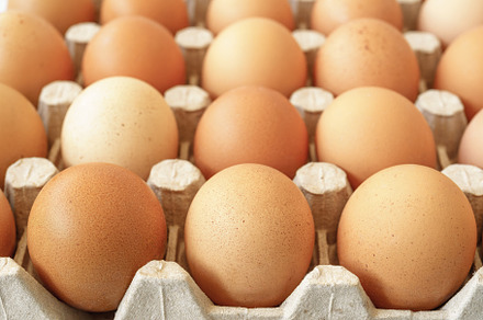 Brown chicken eggs in a cardboard tray on a rustic wood background for farm and, a Food & Drink Photo by Eugene_Photo