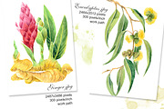 Botanical watercolor illustrations, an Illustration by Marina.Markizova (Thumbnail 3 of 5)