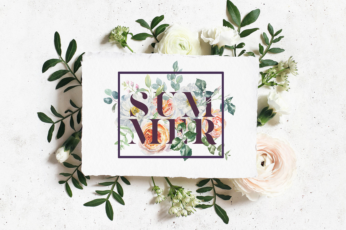 Watercolor Botanical Florals, a Decorative Illustration by Catherine Wheel (Photo 38 of 43)
