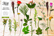 Fresh & Dried Floral Flay Lay Vol 2, a Product Mockup by Eclectic Anthology (Thumbnail 6 of 7)