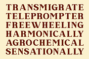 Dramish - Serif Retro Font, a Serif Font by Brainwaves.Studio (Thumbnail 4 of 8)