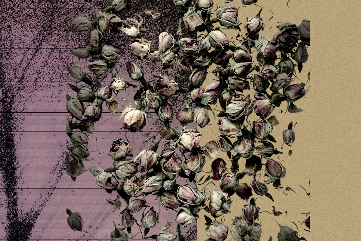 Mystic Autumn Botanical Grain, a Background Graphic by Anzhelika (Photo 4 of 12)