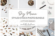 Dog Mama Stock Photo Bundle, an Animal Photo by Savvy Stock Shop (Thumbnail 1 of 8)