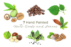 Coffee Beans & Nuts 7 Cliparts