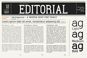 Multigenum - Serif font family, a Serif Font by Artistic & Unique (Thumbnail 8 of 15)