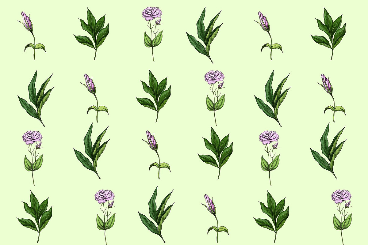 Botany and tenderness. Flowers set, an Object Illustration by Schumacher Shop (Photo 6 of 8)